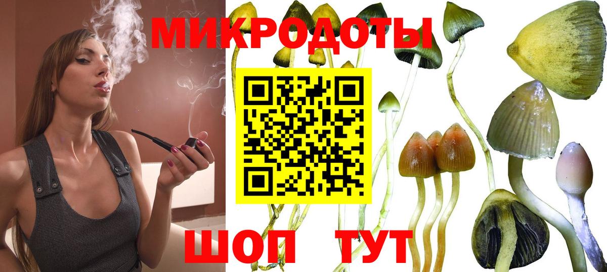 Псилоцибиновые грибы мухоморы Советский